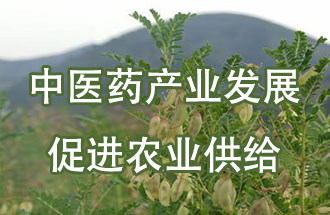 8月2日，甘肃省定西市陇西县的中医药产业发展情况在国家卫生健康委员会例行新闻发布会上被提及并宣传