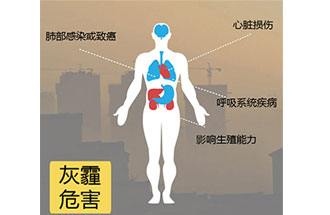 空气中PM2.5 是由什么物质组成的？