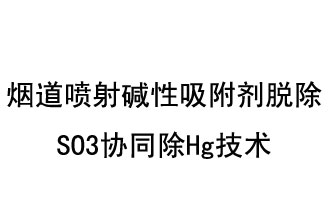 烟道喷射碱性吸附剂脱除SO3协同除Hg技术