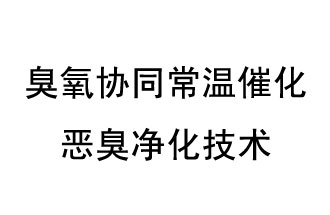 臭氧协同常温催化恶臭净化技术