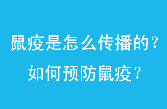 鼠疫是怎么传播的？如何预防鼠疫？